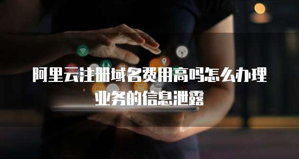 阿里云注册域名费用高吗怎么办理业务的信息泄露