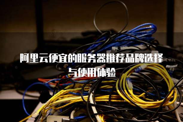 阿里云便宜的服务器推荐品牌选择与使用体验