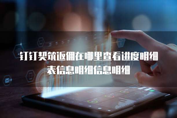 钉钉契筑返佣在哪里查看进度明细表信息明细信息明细