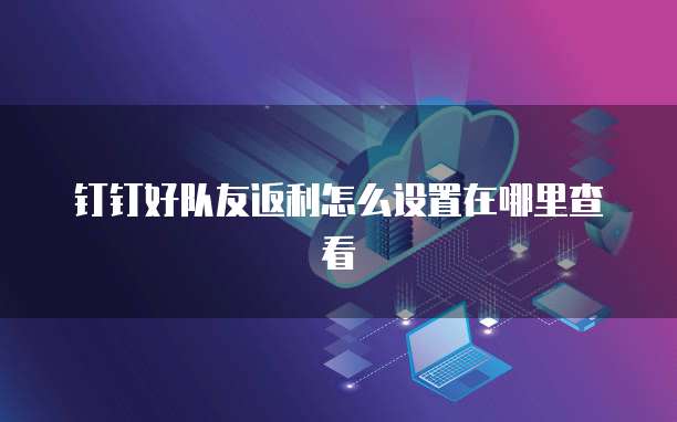 钉钉好队友返利怎么设置在哪里查看