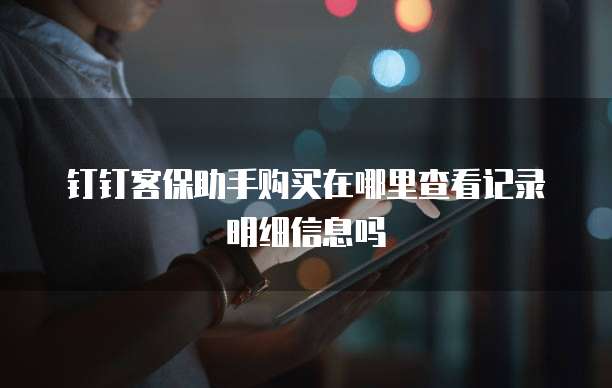 钉钉客保助手购买在哪里查看记录明细信息吗