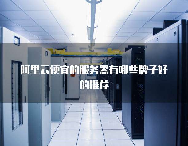 阿里云便宜的服务器有哪些牌子好的推荐