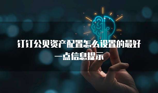 钉钉公贝资产配置怎么设置的最好一点信息提示