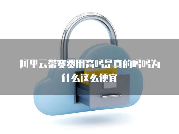 阿里云带宽费用高吗是真的吗吗为什么这么便宜