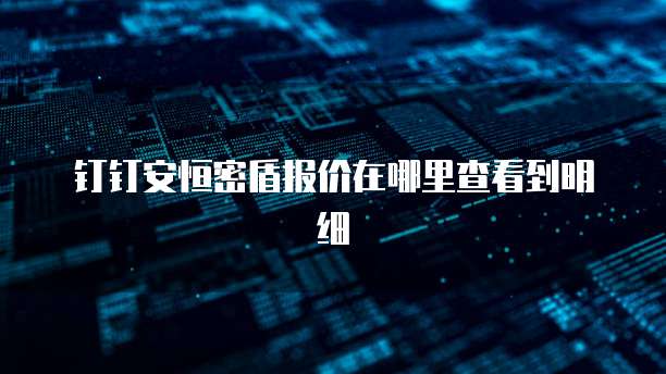 钉钉安恒密盾报价在哪里查看到明细
