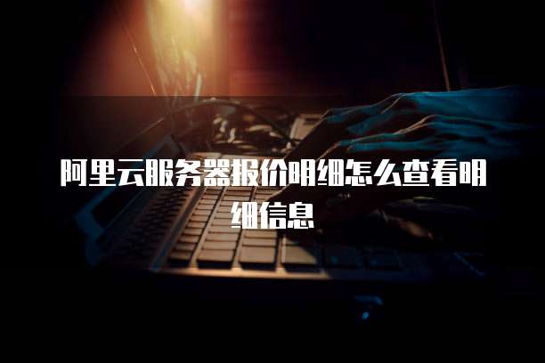 阿里云服务器报价明细怎么查看明细信息