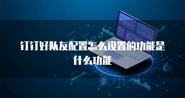 钉钉好队友配置怎么设置的功能是什么功能