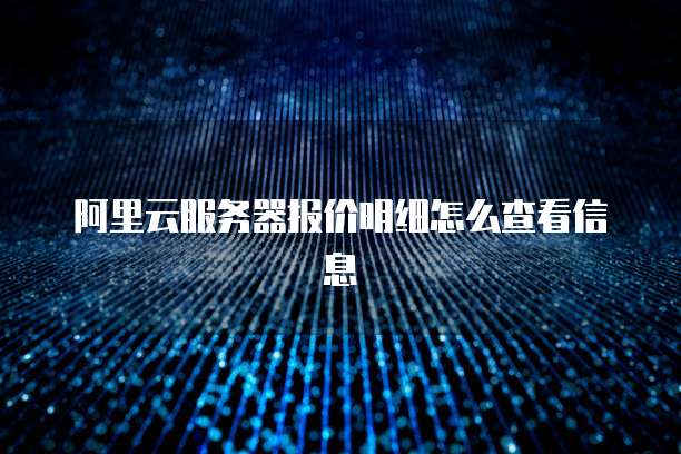 阿里云服务器报价明细怎么查看信息