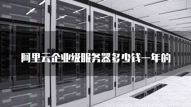 阿里云企业级服务器多少钱一年的