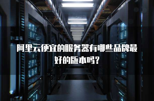 阿里云便宜的服务器有哪些品牌最好的版本吗?