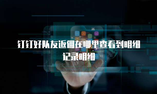 钉钉好队友返佣在哪里查看到明细记录明细