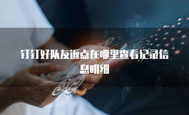 钉钉好队友返点在哪里查看记录信息明细