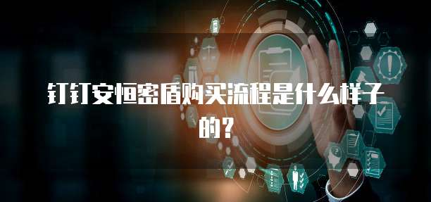钉钉安恒密盾购买流程是什么样子的？