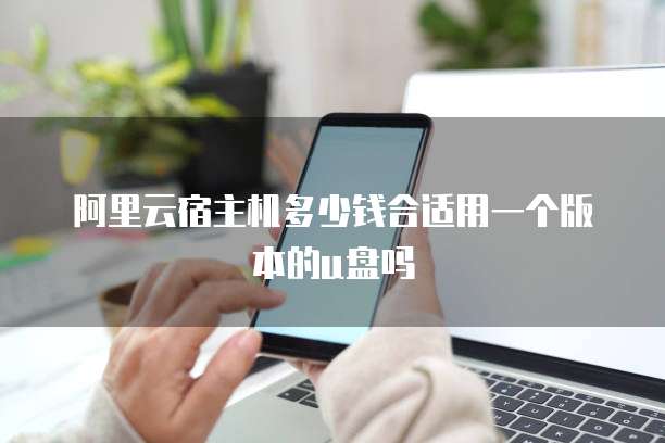 阿里云宿主机多少钱合适用一个版本的u盘吗