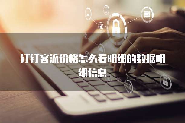 钉钉客流价格怎么看明细的数据明细信息