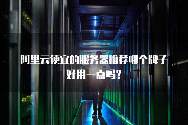 阿里云便宜的服务器推荐哪个牌子好用一点吗?
