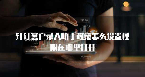 钉钉客户录入助手政策怎么设置权限在哪里打开