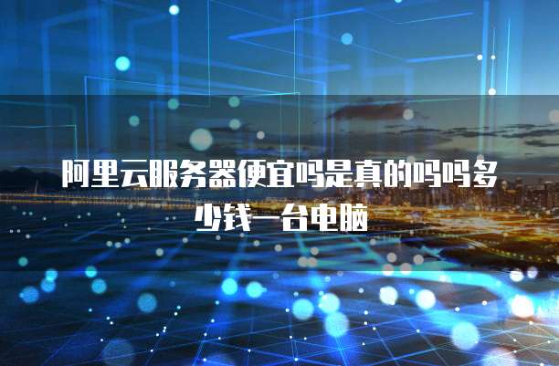 阿里云服务器便宜吗是真的吗吗多少钱一台电脑