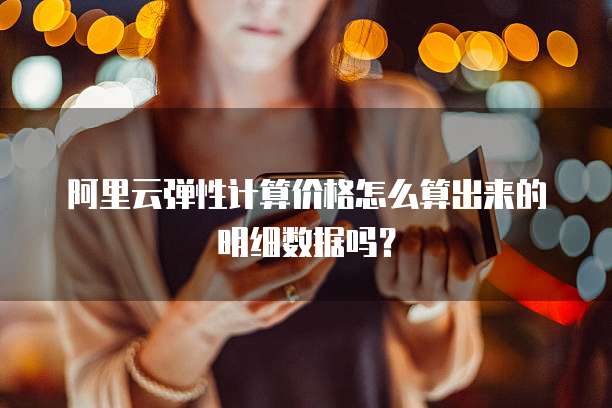 阿里云弹性计算价格怎么算出来的明细数据吗?