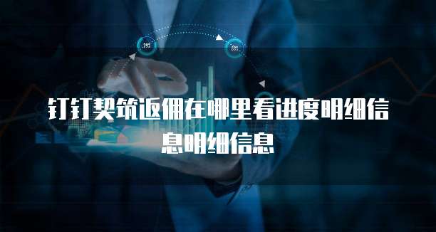 钉钉契筑返佣在哪里看进度明细信息明细信息