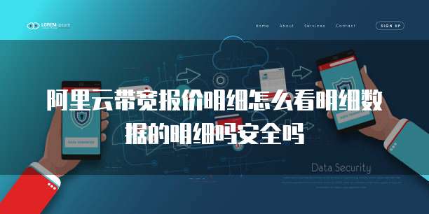 阿里云带宽报价明细怎么看明细数据的明细吗安全吗