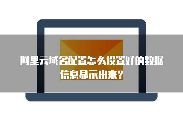 阿里云域名配置怎么设置好的数据信息显示出来?