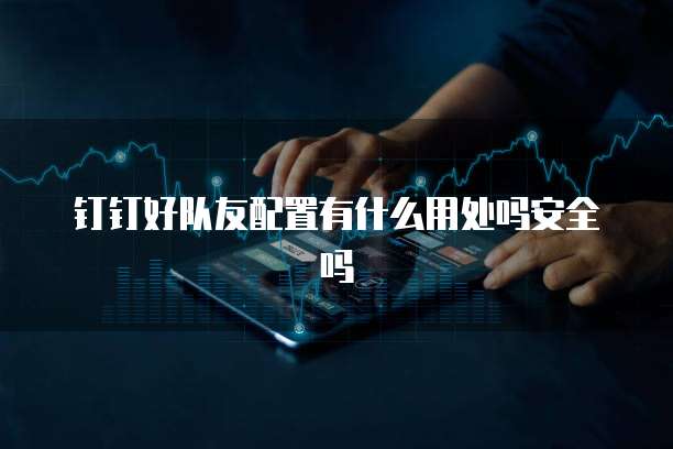 钉钉好队友配置有什么用处吗安全吗