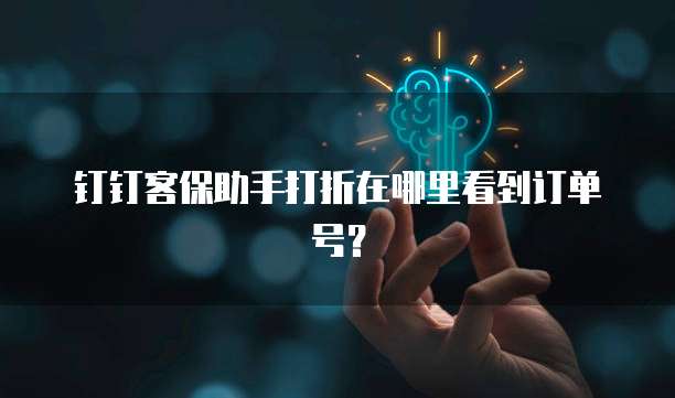 钉钉客保助手打折在哪里看到订单号?