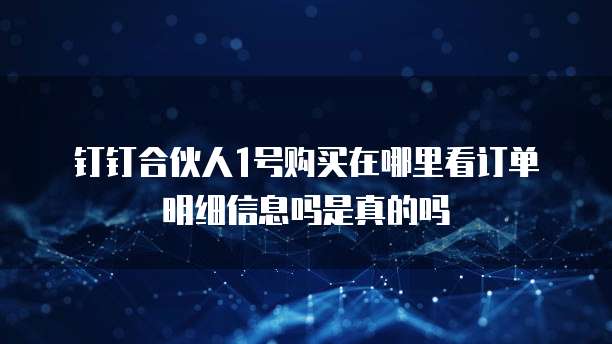 钉钉合伙人1号购买在哪里看订单明细信息吗是真的吗
