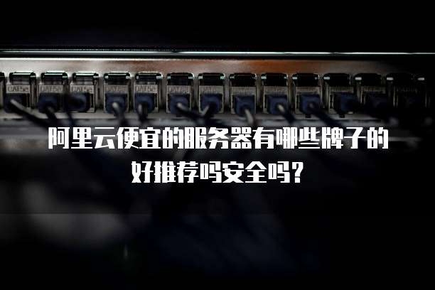 阿里云便宜的服务器有哪些牌子的好推荐吗安全吗?