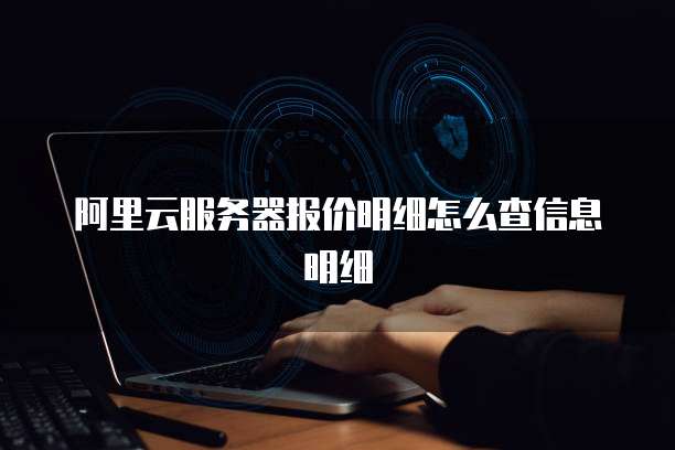 阿里云服务器报价明细怎么查信息明细
