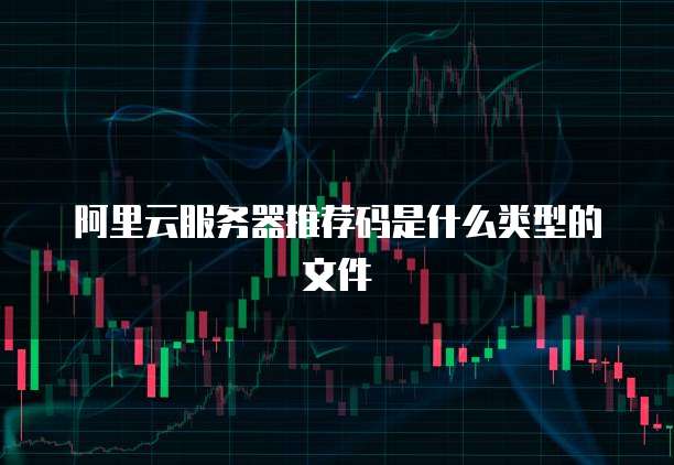 阿里云服务器推荐码是什么类型的文件