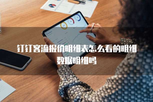 钉钉客流报价明细表怎么看的明细数据明细吗