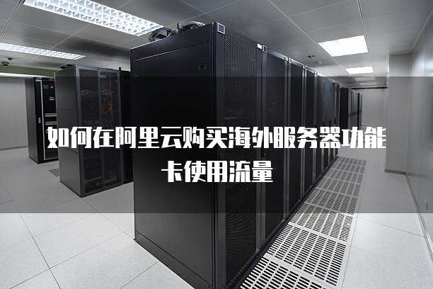 如何在阿里云购买海外服务器功能卡使用流量