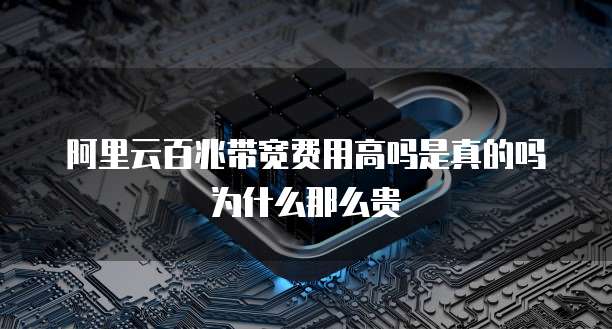 阿里云百兆带宽费用高吗是真的吗为什么那么贵