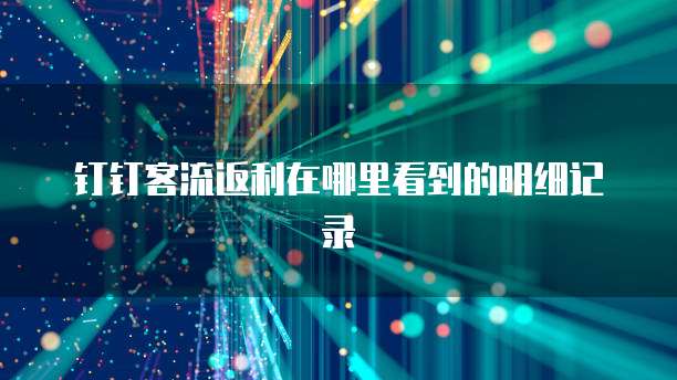 钉钉客流返利在哪里看到的明细记录