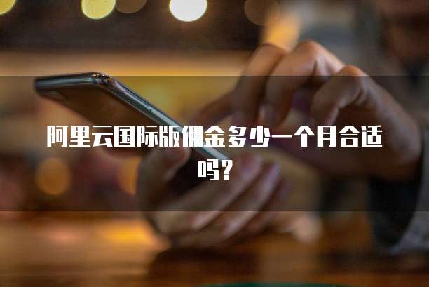 阿里云国际版佣金多少一个月合适吗?