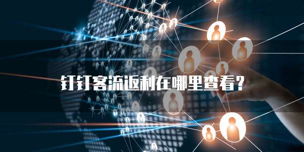 钉钉客流返利在哪里查看?