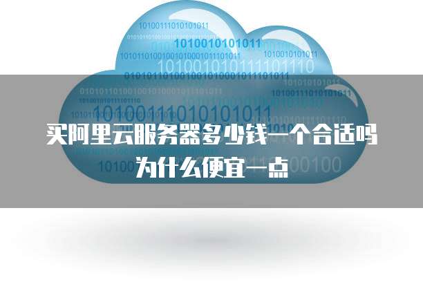 买阿里云服务器多少钱一个合适吗为什么便宜一点