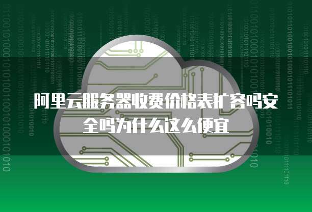 阿里云服务器收费价格表扩容吗安全吗为什么这么便宜