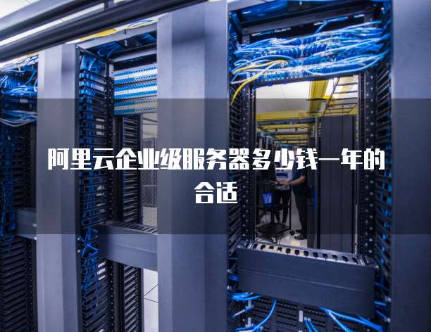 阿里云企业级服务器多少钱一年的合适