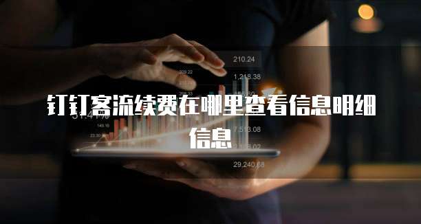 钉钉客流续费在哪里查看信息明细信息