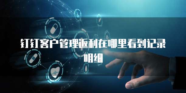 钉钉客户管理返利在哪里看到记录明细