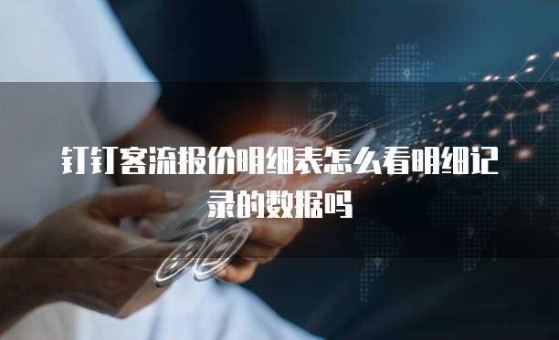 钉钉客流报价明细表怎么看明细记录的数据吗