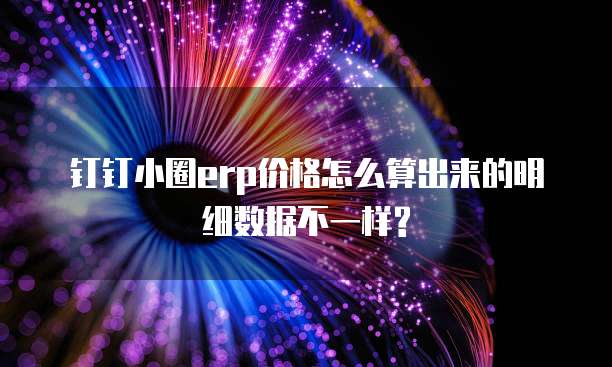 钉钉小圈erp价格怎么算出来的明细数据不一样?