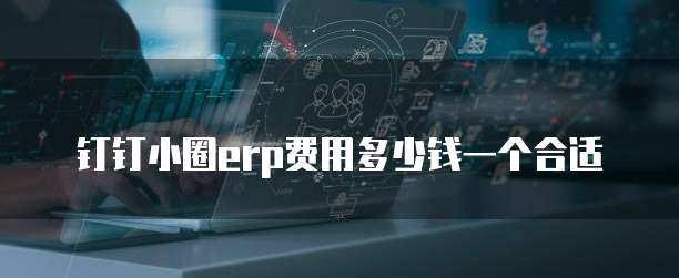 钉钉小圈erp费用多少钱一个合适
