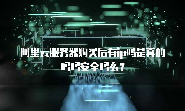 阿里云服务器购买后有ip吗是真的吗吗安全吗么？