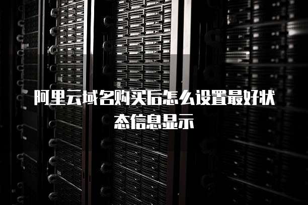 阿里云域名购买后怎么设置最好状态信息显示