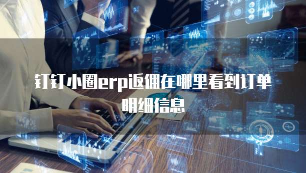 钉钉小圈erp返佣在哪里看到订单明细信息