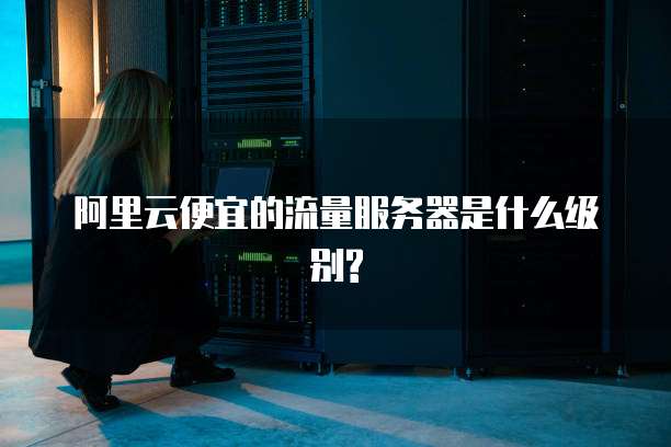 阿里云便宜的流量服务器是什么级别?